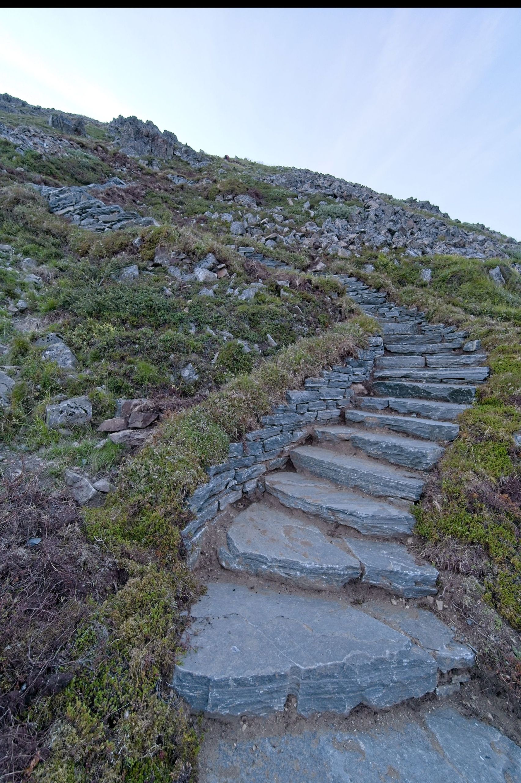 dsc 7691